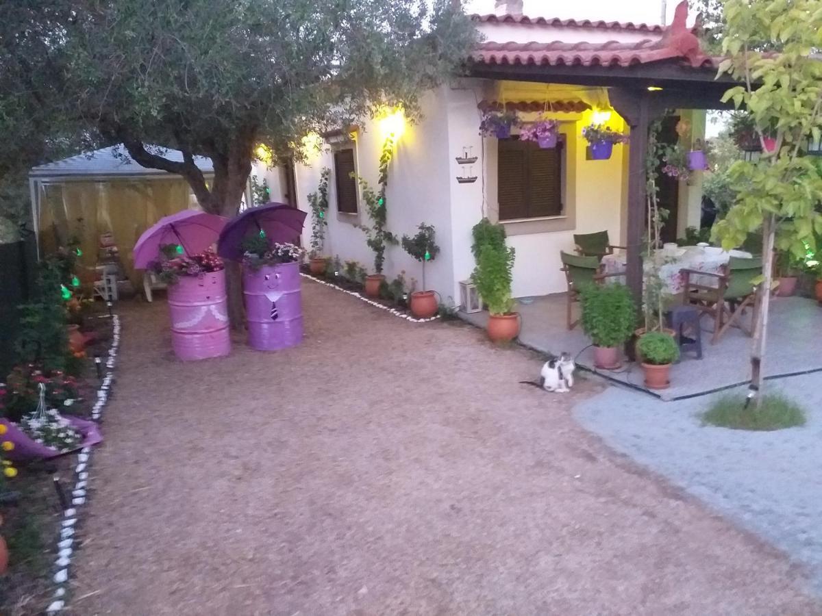Killini Cottage Studio The Small Cyclades Kastro-Kyllini Bagian luar foto